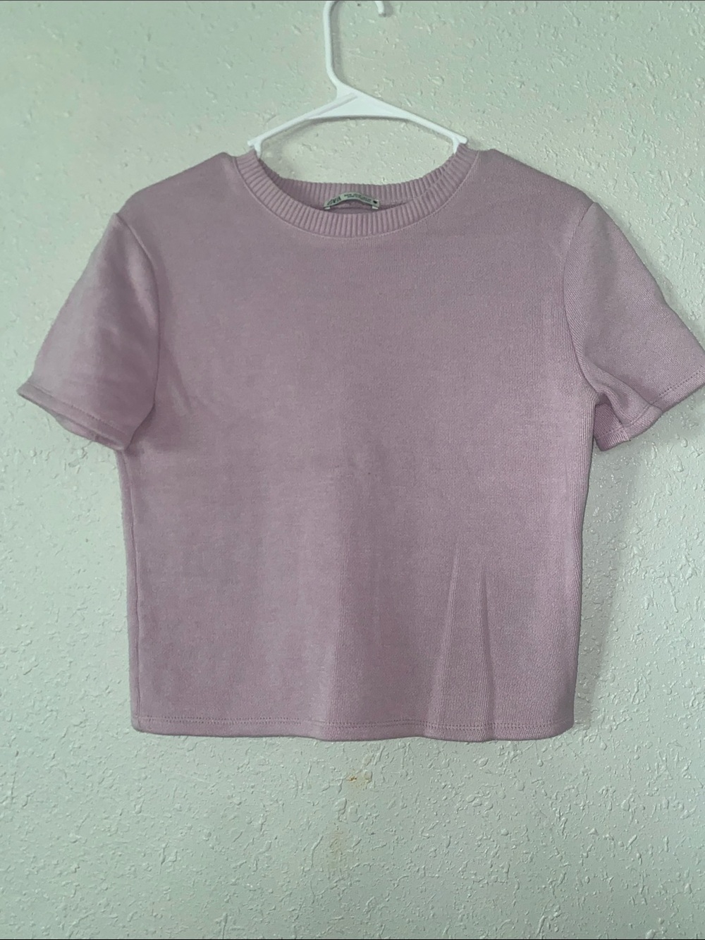 Zara Short Sleeve Crewneck Top in Pale Mauve